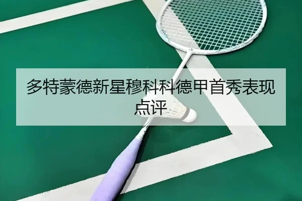 多特蒙德新星穆科科德甲首秀表现点评